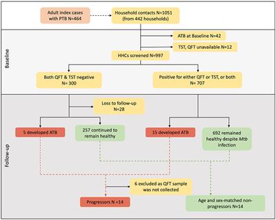 Discovery of a blood-based miRNA signature that can predict onset of active tuberculosis among household contacts of TB patients